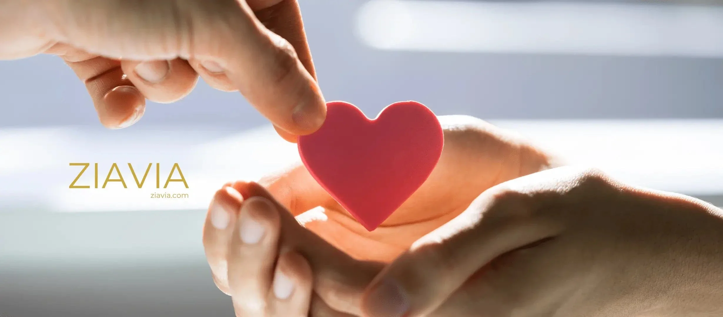 Welcome to Our Store